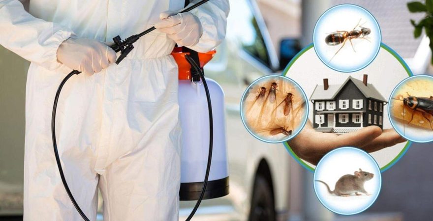 Çayırova Böcek İlaçlama