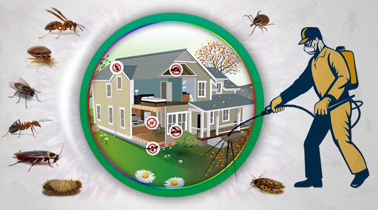 Çayırova Böcek İlaçlama