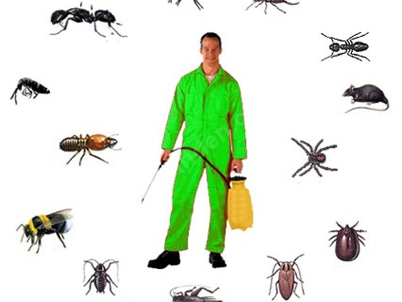 Çayırova Böcek İlaçlama